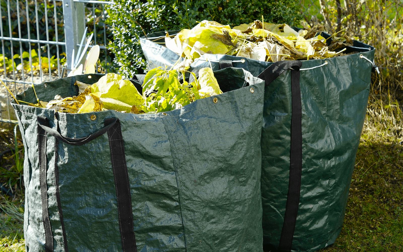 Debris Removal